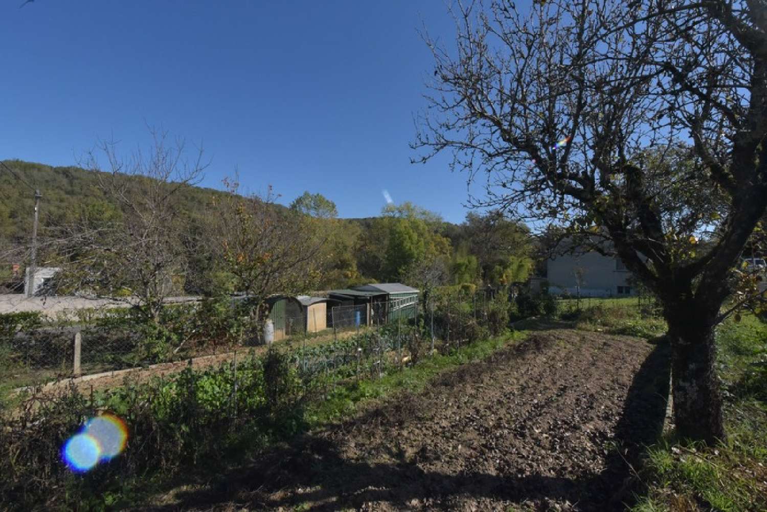 kaufen Haus Saint-Juéry Tarn 5