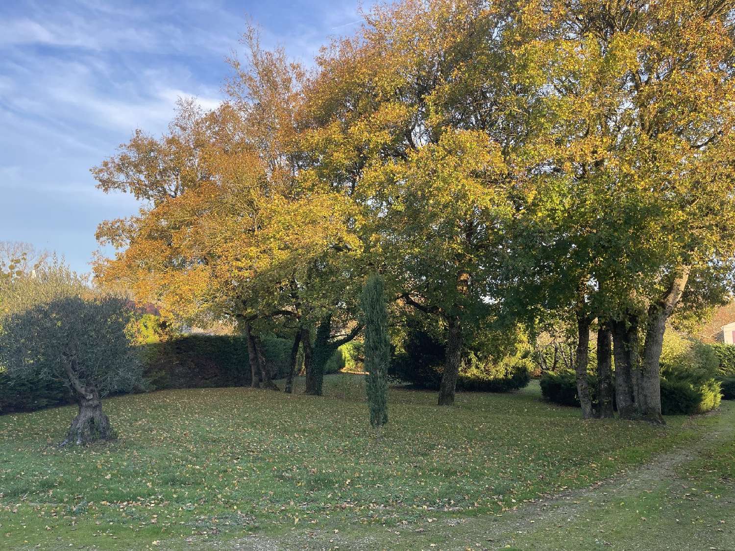 for sale house Saint-Martial Charente-Maritime 7