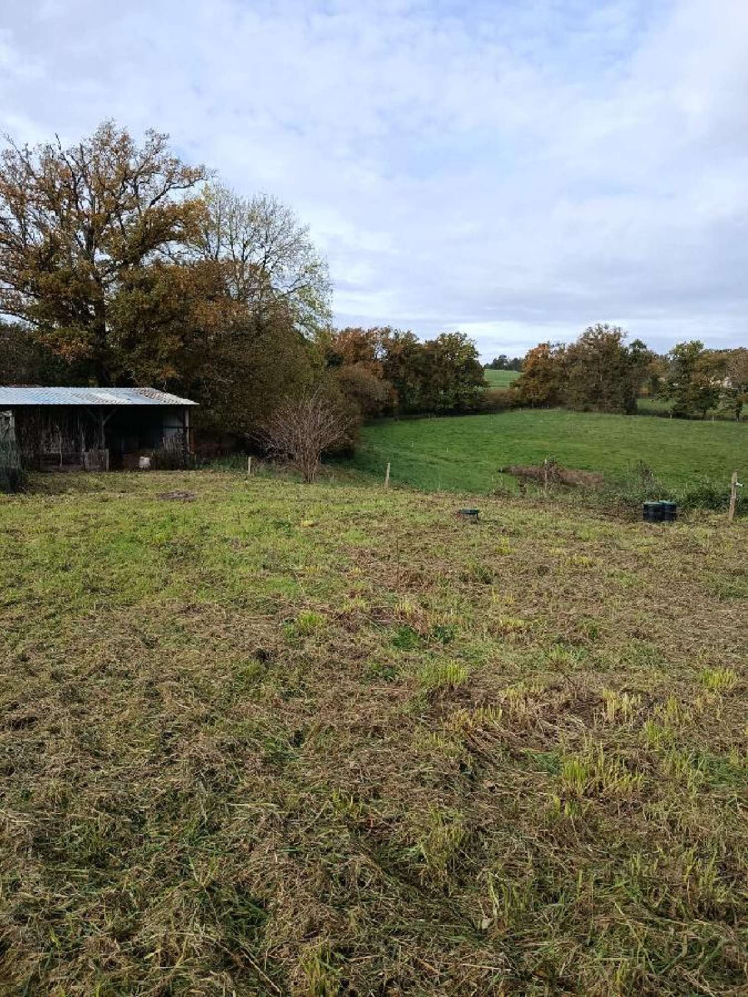  à vendre maison Saint-Martin-le-Vieux Haute-Vienne 3