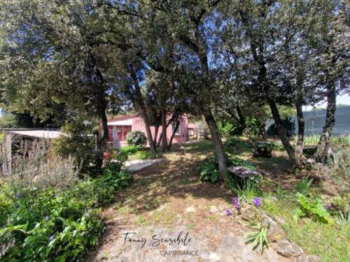 Saint-Maximin-la-Sainte-Baume Var maison foto 7186882