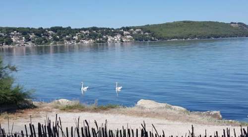 Saint-Mitre-les-Remparts Bouches-du-Rhône huis foto 7183858