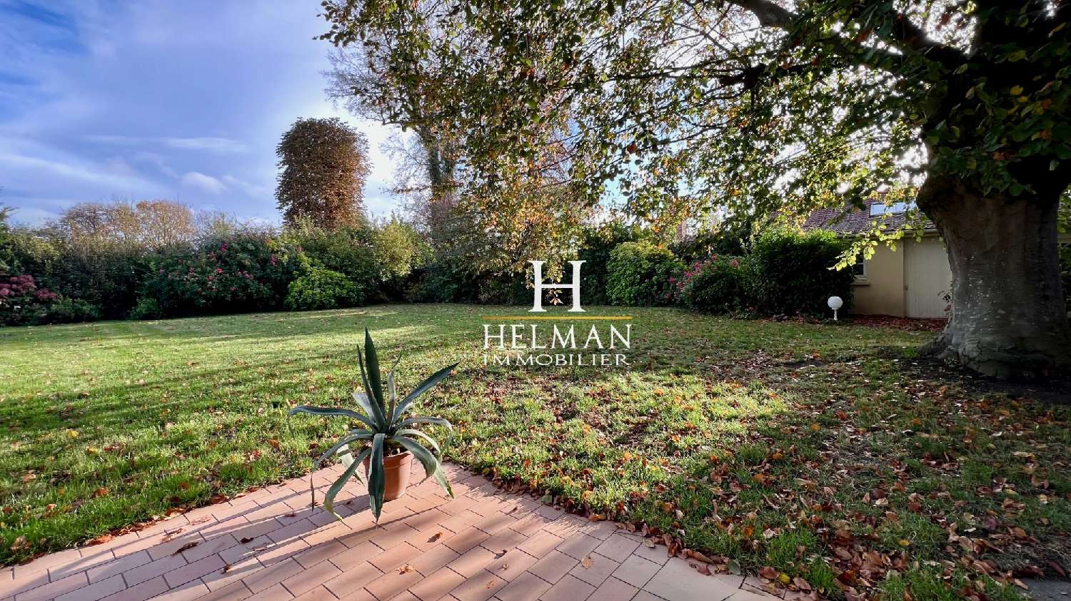 te koop huis Saint-Omer Pas-de-Calais 6