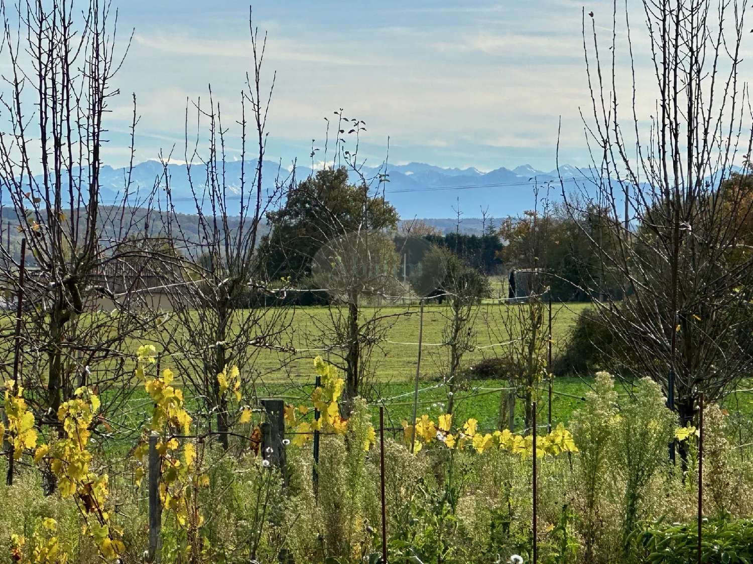 te koop huis Saint-Ost Gers 3