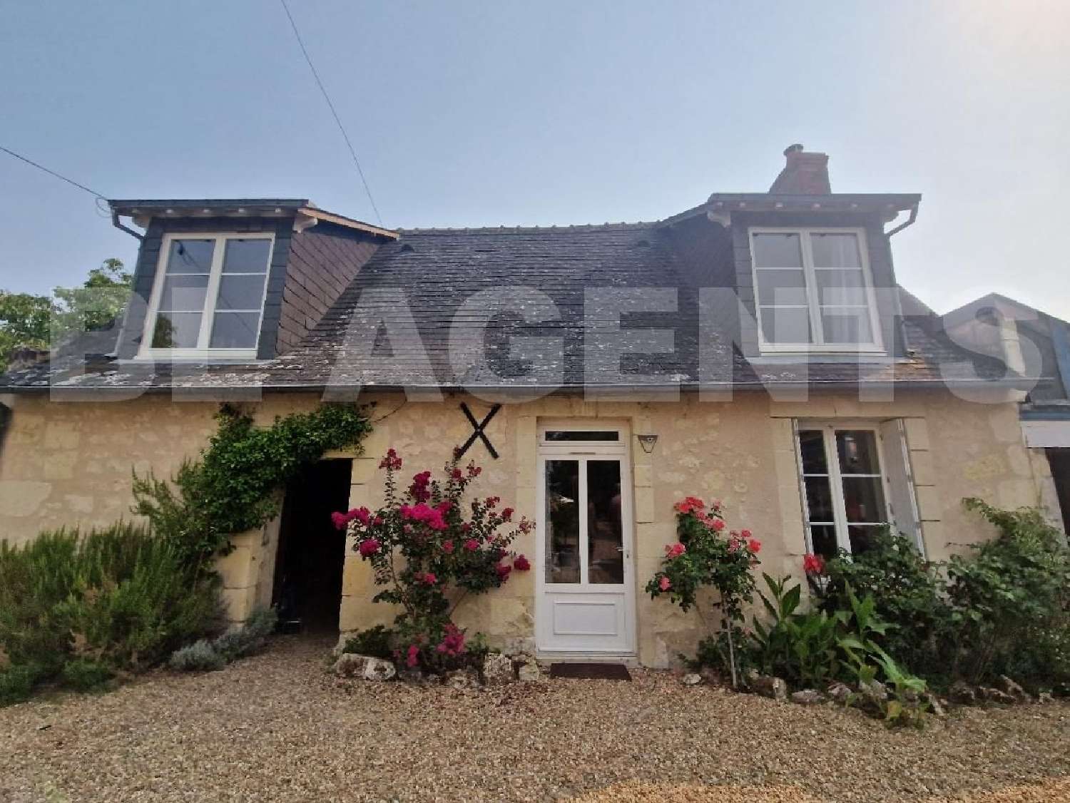 te koop huis Saint-Ouen-les-Vignes Indre-et-Loire 1
