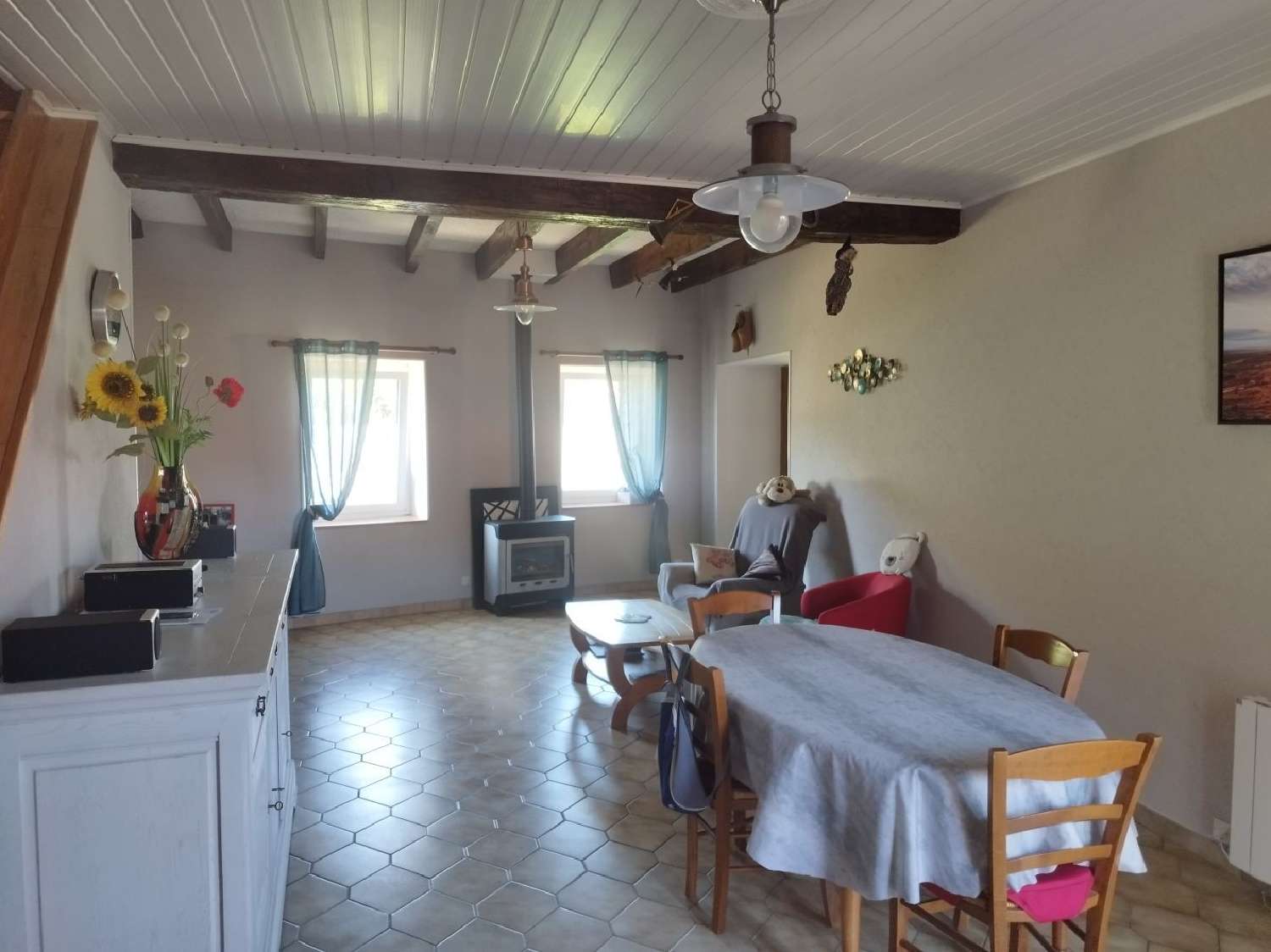 te koop huis Saint-Pierre-de-Boeuf Loire 1
