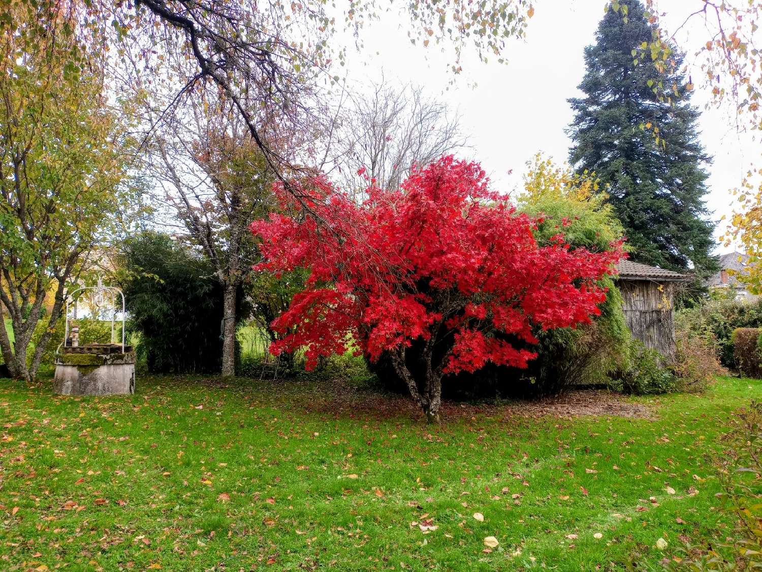 for sale house Saint-Privat Corrèze 2
