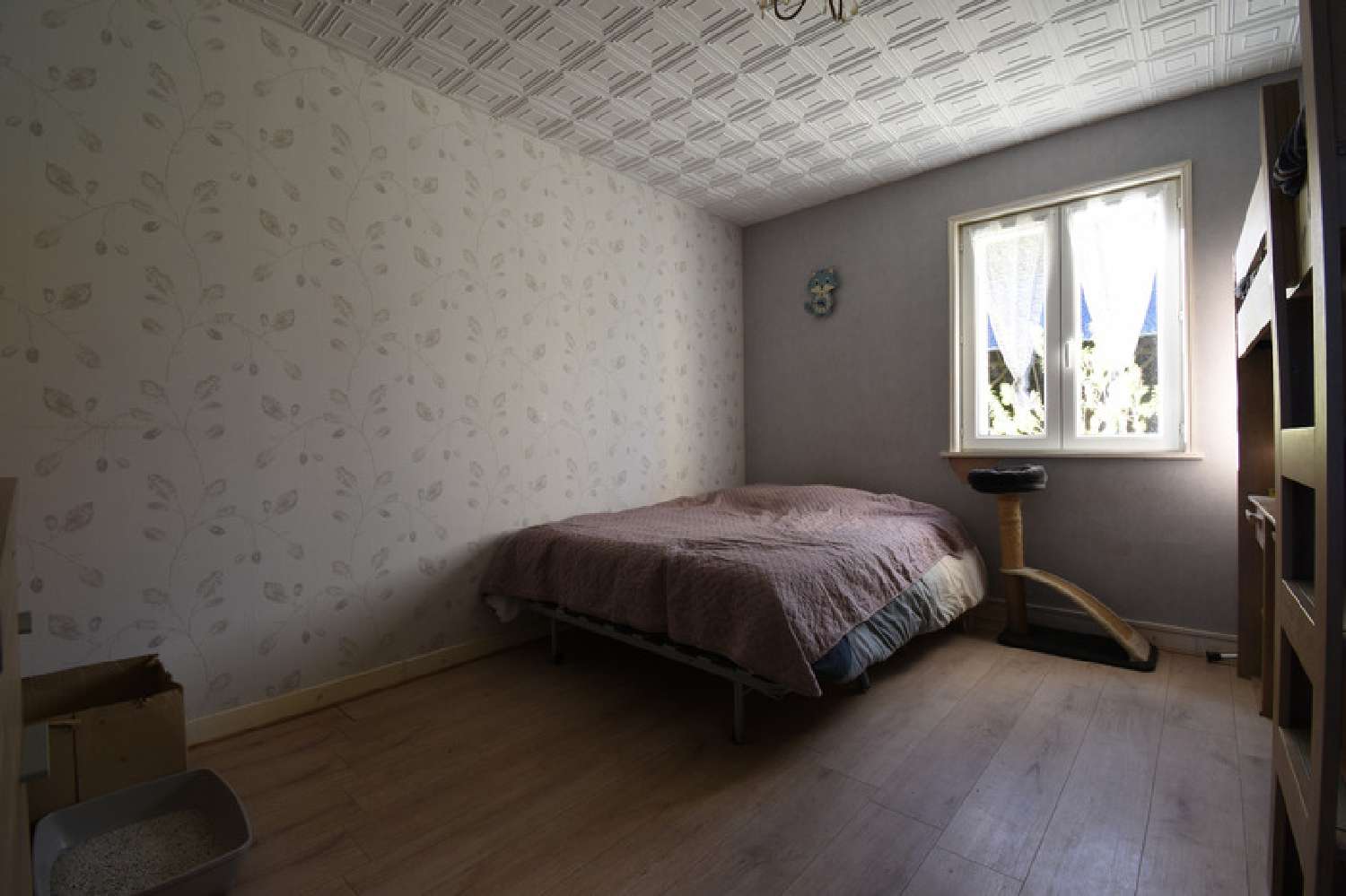  kaufen Haus Saint-Roch-sur-Égrenne Orne 8