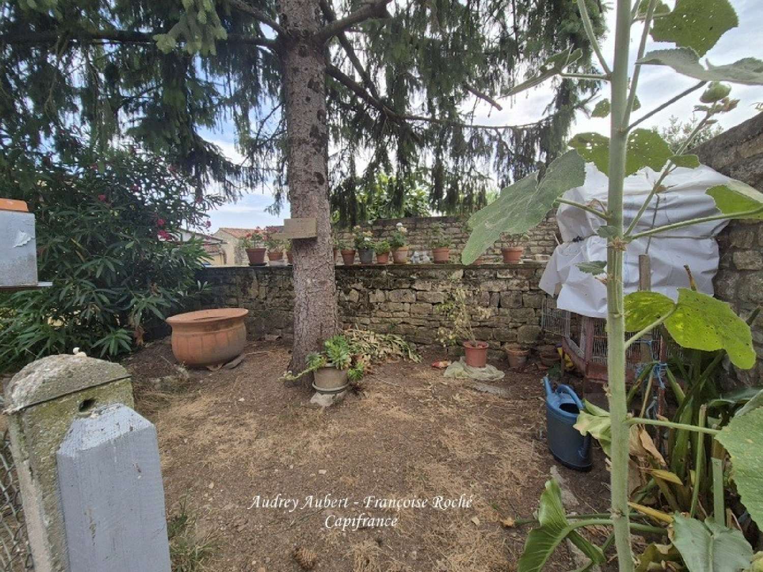  à vendre maison Saint-Savinien Charente-Maritime 3