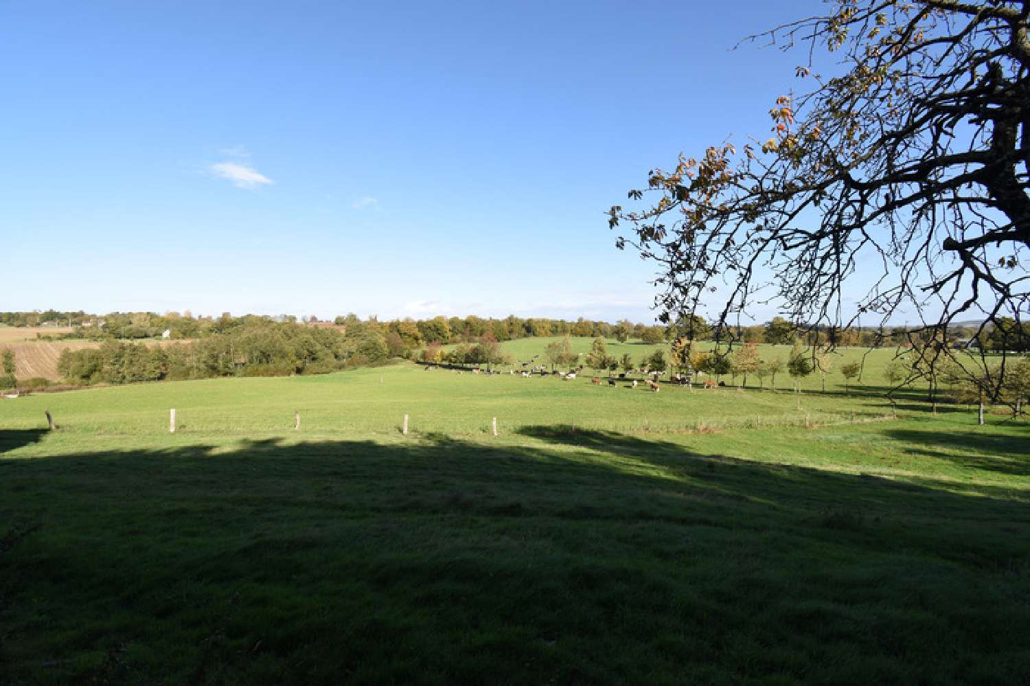 à vendre maison Saint-Siméon Orne 4