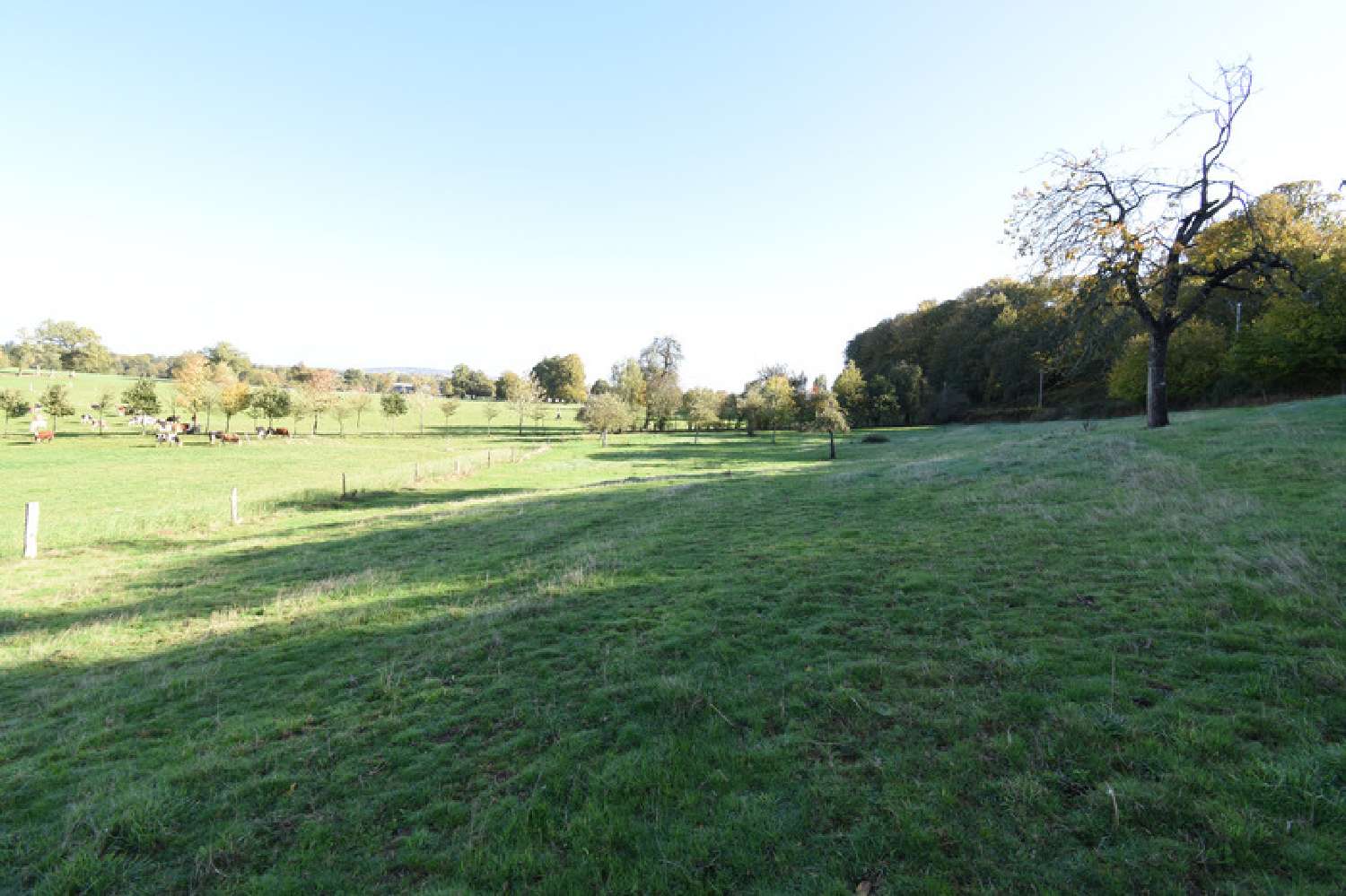 à vendre maison Saint-Siméon Orne 5