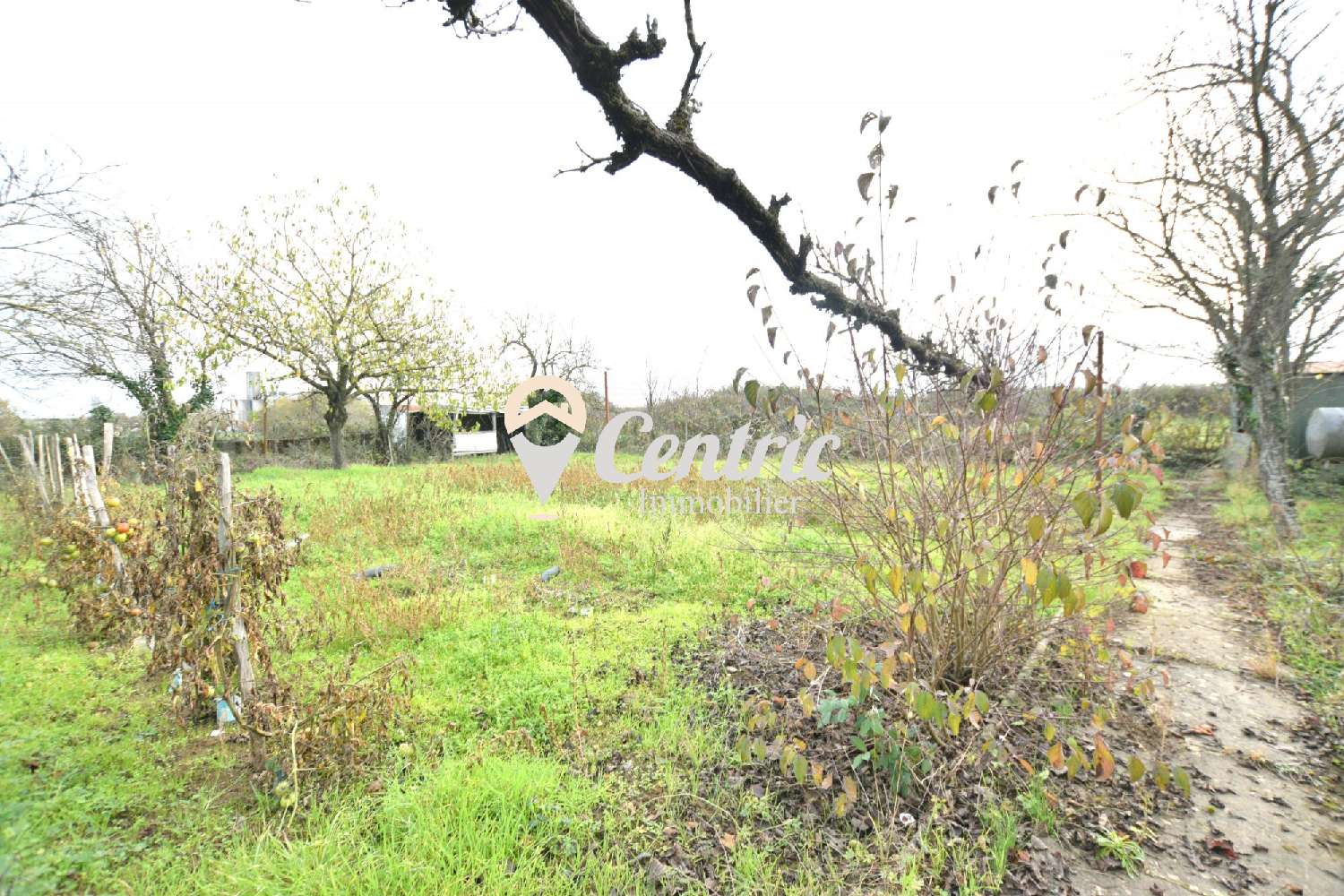  for sale house Saint-Varent Deux-Sèvres 8