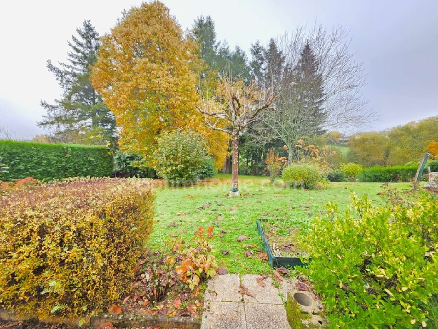 à vendre maison Saint-Yrieix-la-Perche Haute-Vienne 3