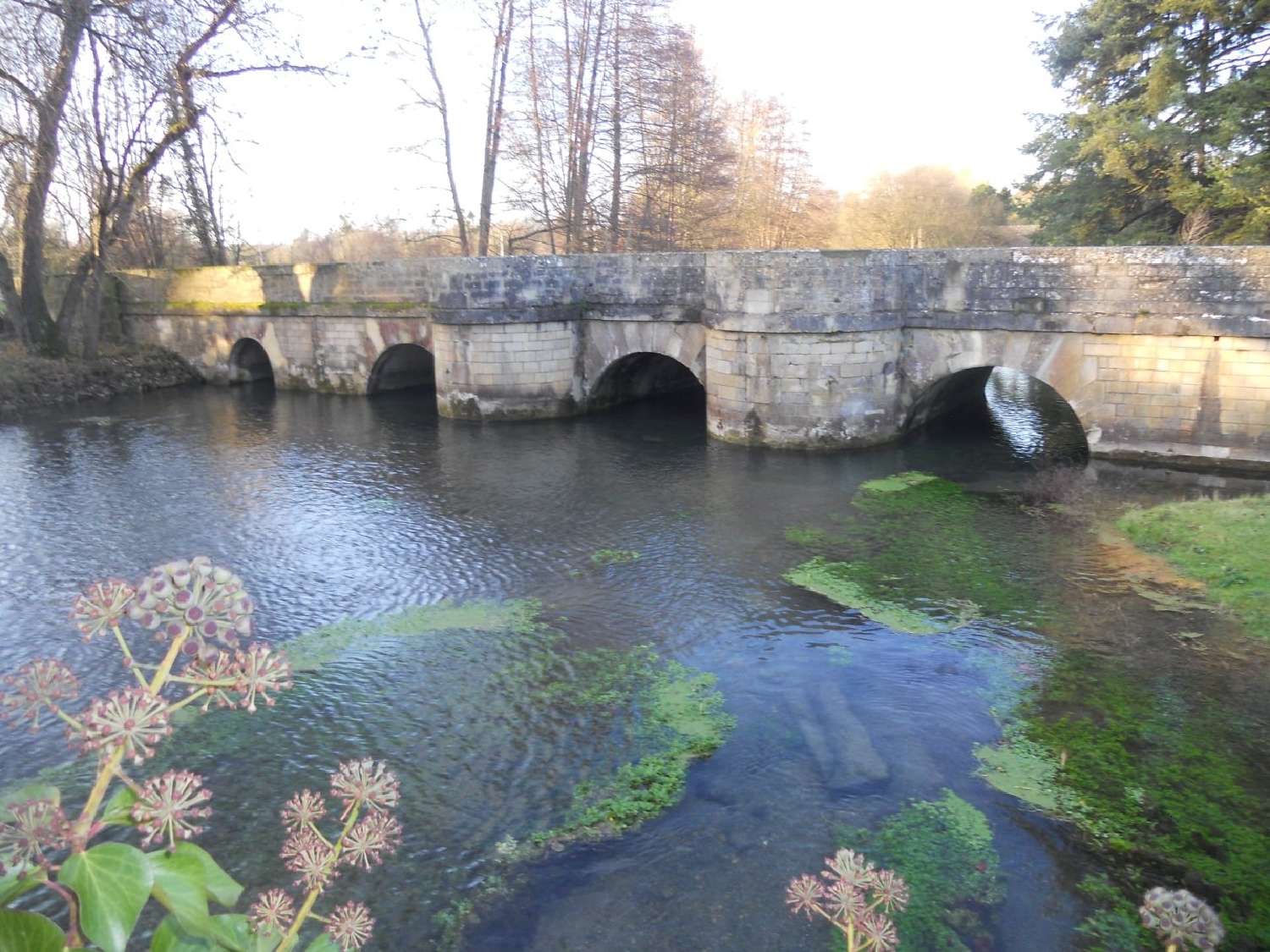  à vendre maison Sainte-Éanne Deux-Sèvres 2