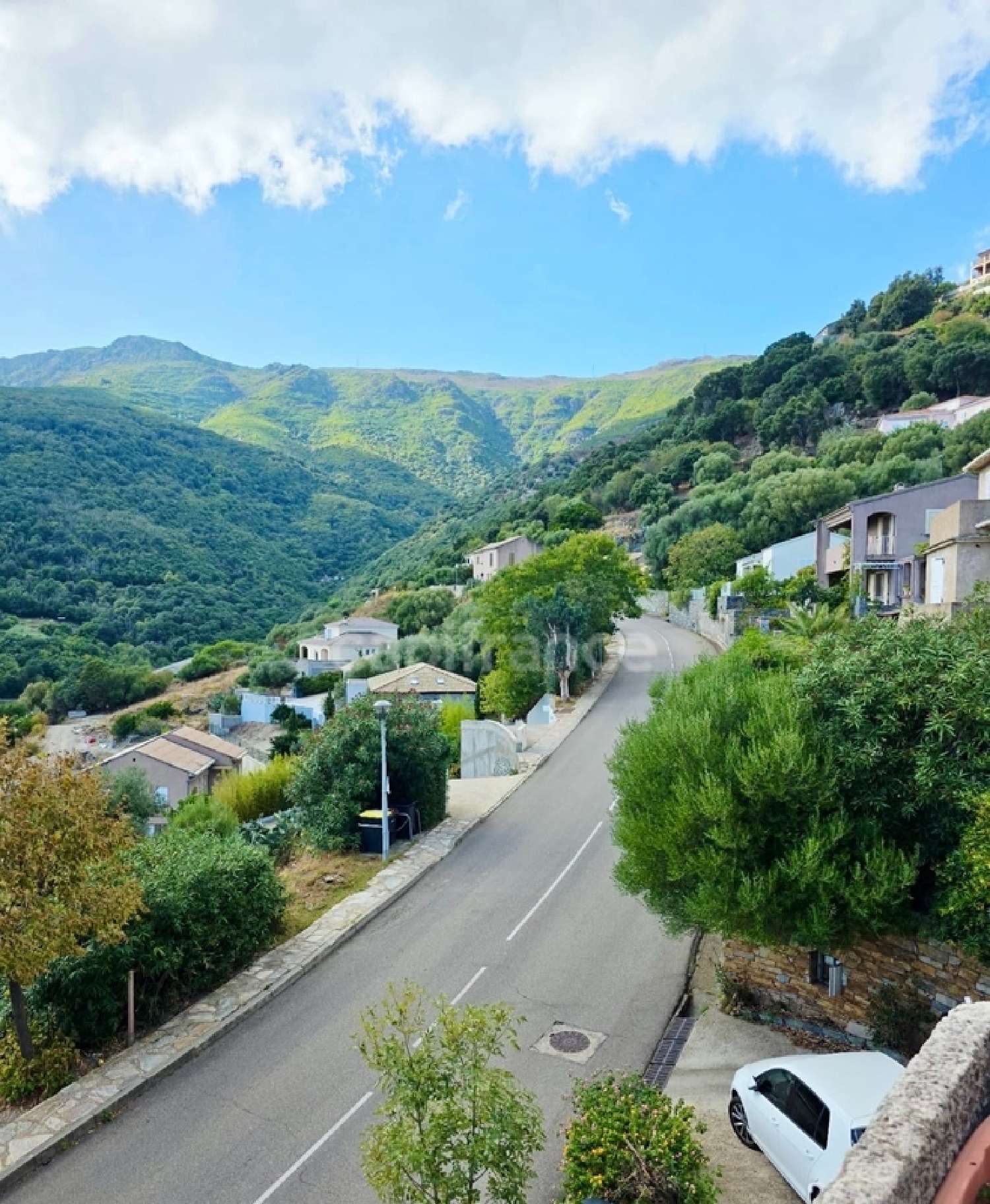 te koop huis San-Martino-di-Lota Haute-Corse 5