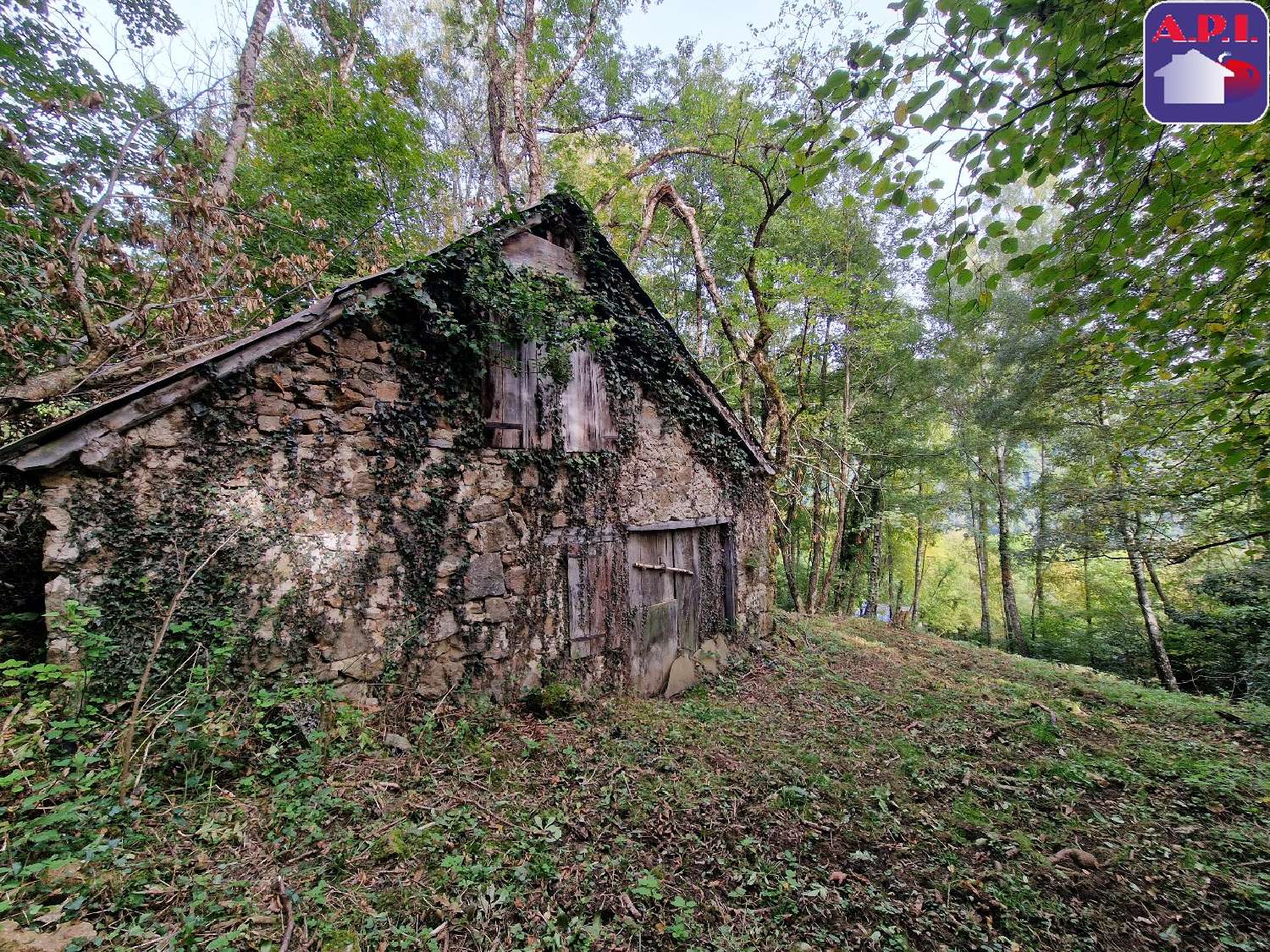 à vendre maison Saurat Ariège 4