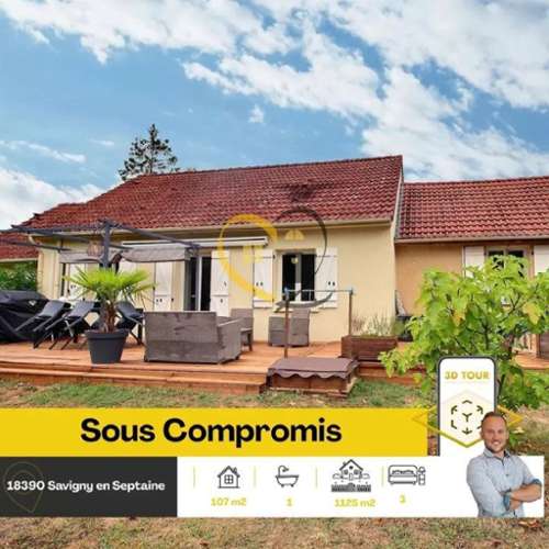 Savigny-en-Septaine Cher maison foto 7196478
