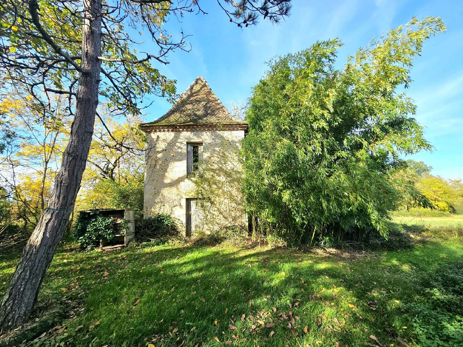  à vendre maison Sempesserre Gers 4