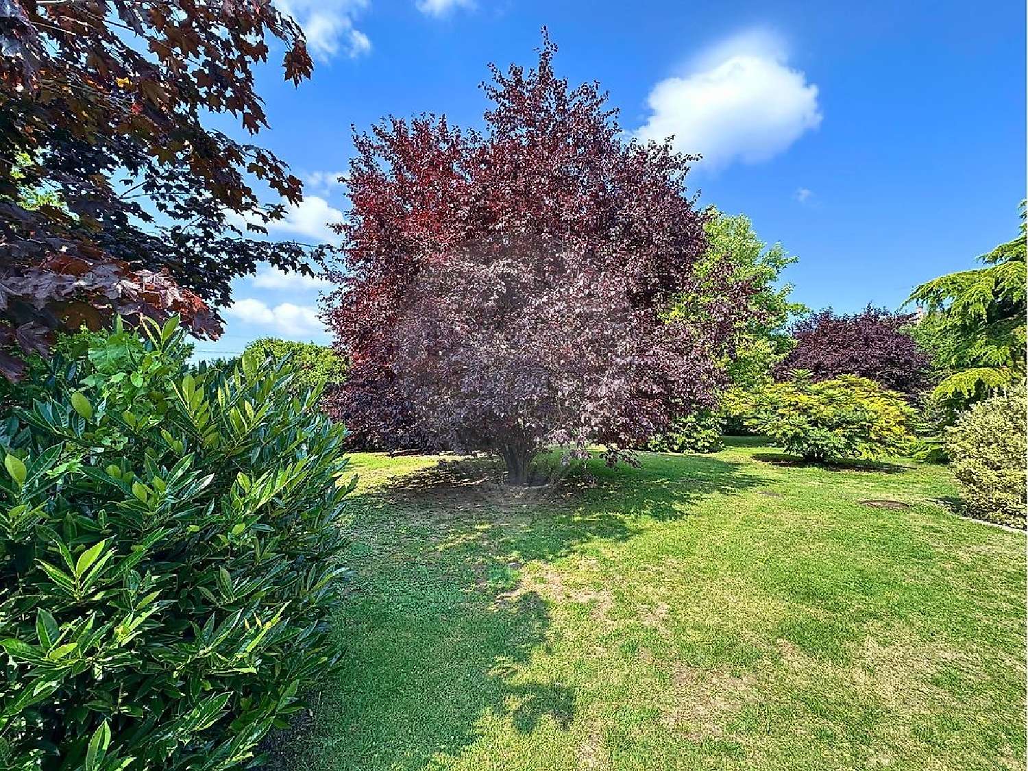  te koop huis Senlis Oise 5