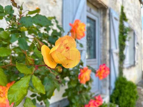 Senlis Oise huis foto 7206315