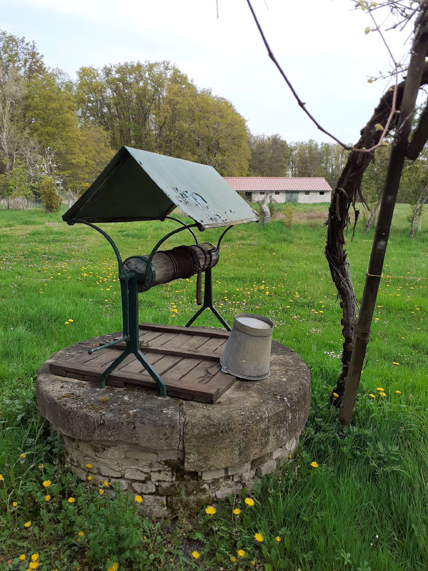 te koop huis Serbannes Allier 6