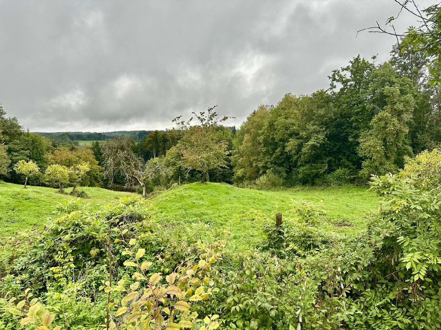 te koop huis Servance Haute-Saône 4