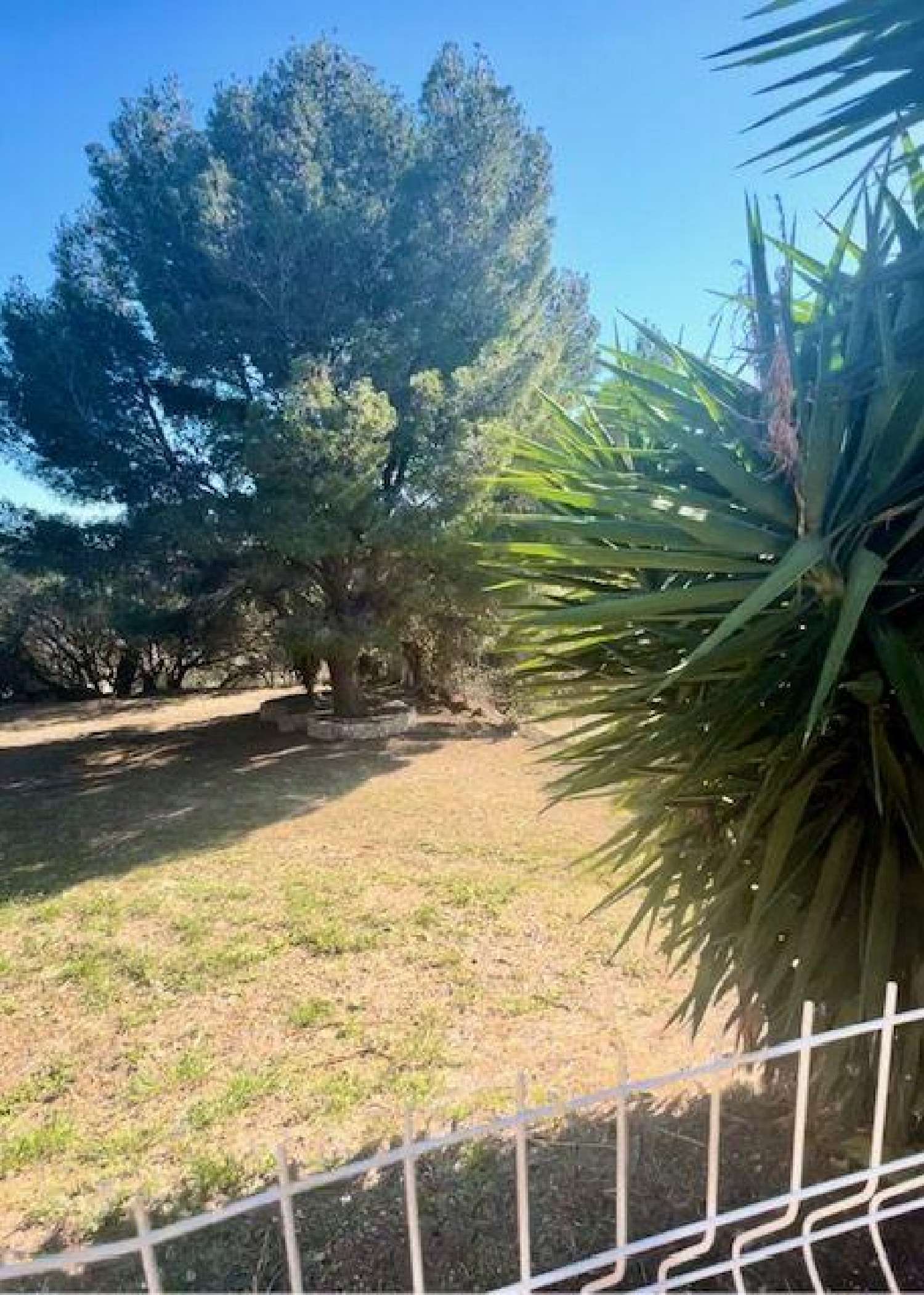  te koop huis Sigean Aude 2