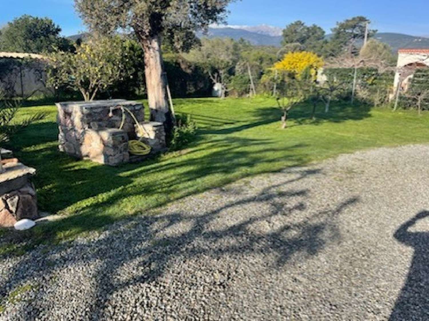 for sale house Solaro Haute-Corse 2