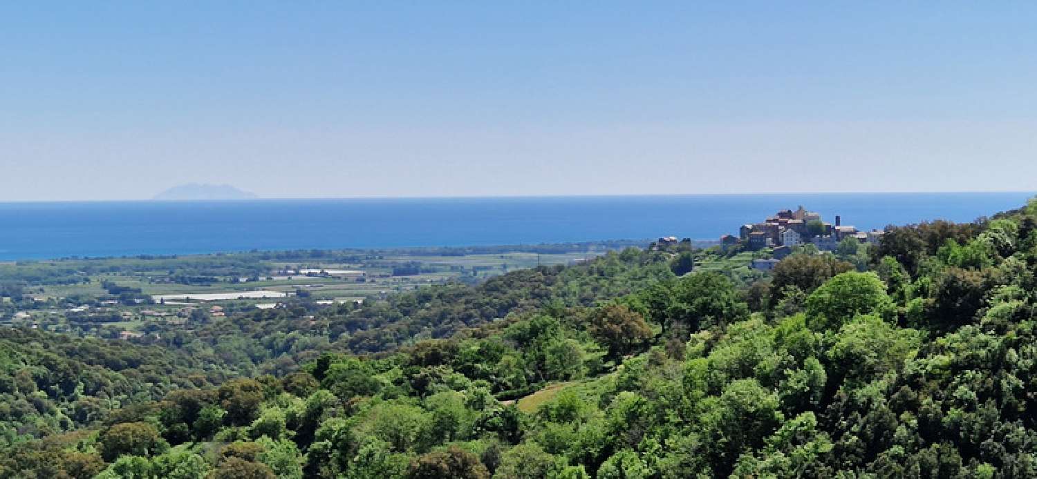  à vendre maison Sorbo-Ocagnano Haute-Corse 1