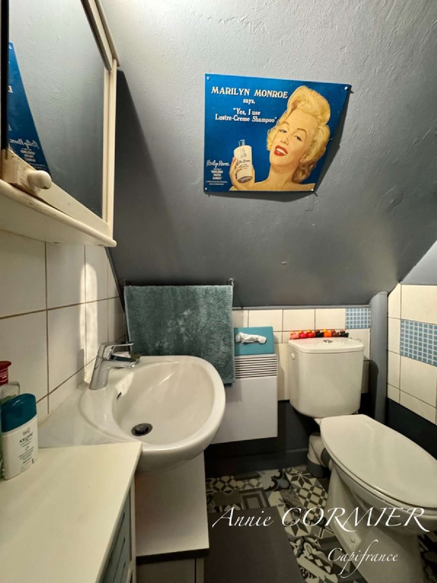 for sale house Sully-sur-Loire Loiret 8