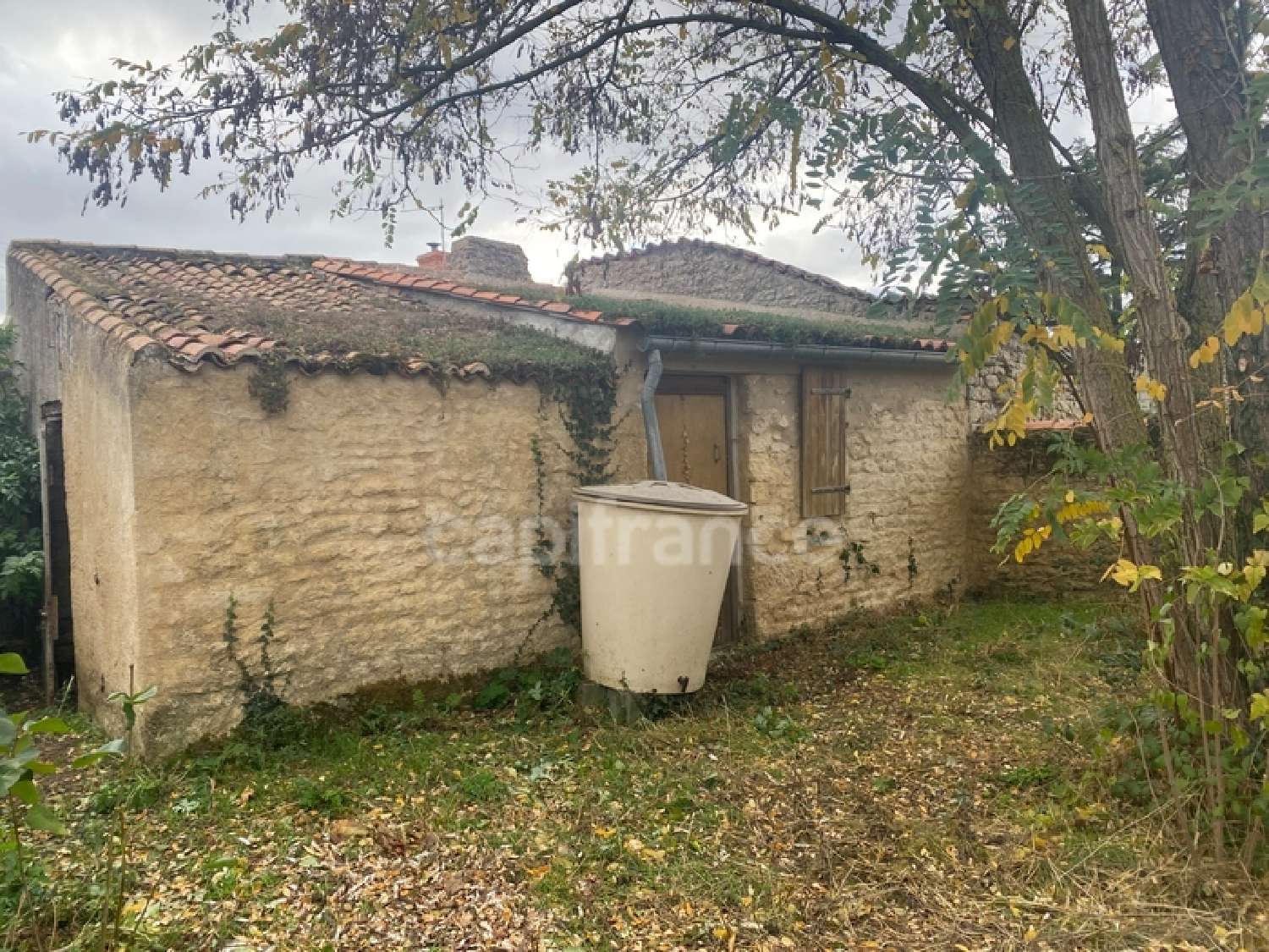 à vendre maison Taizé Deux-Sèvres 7