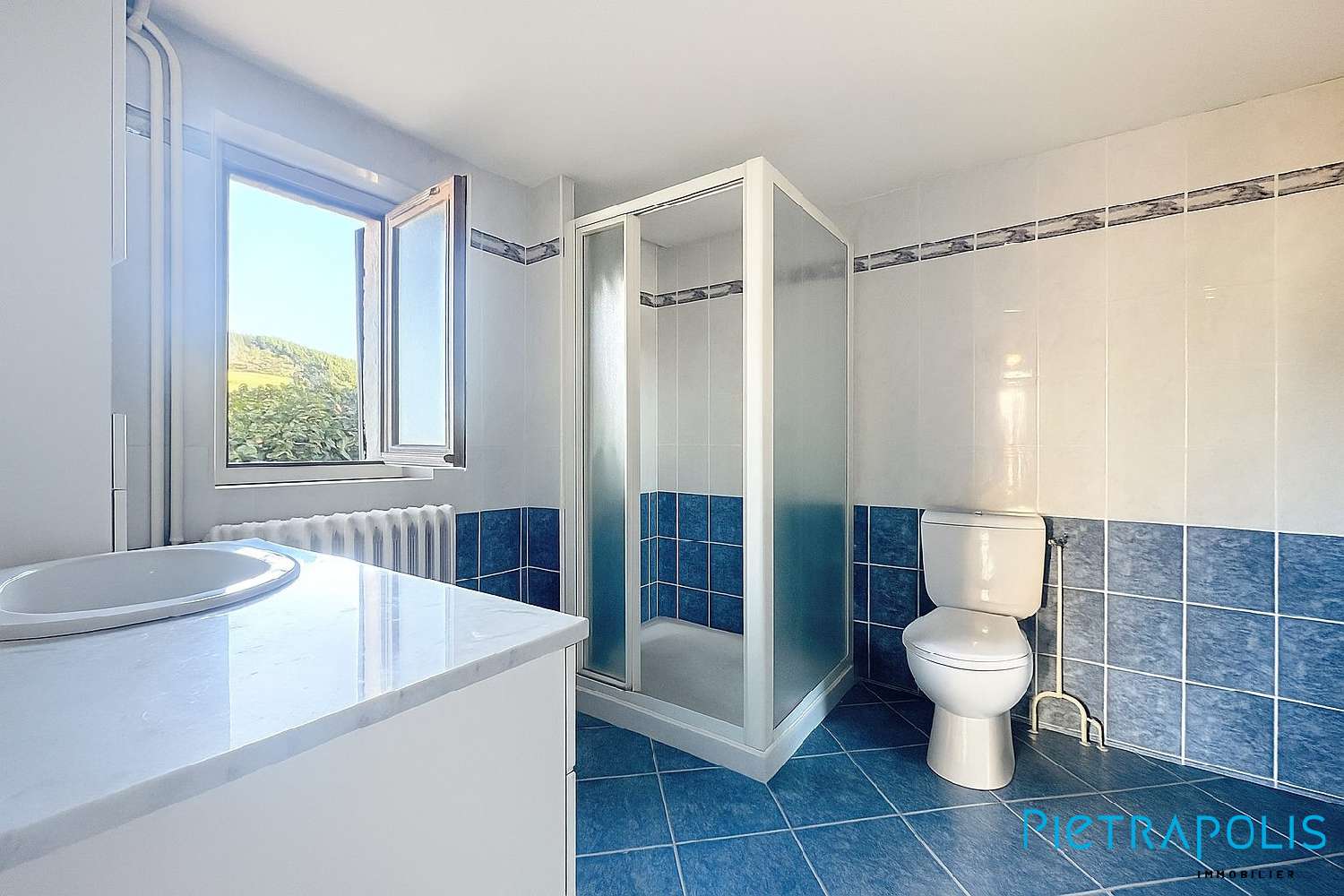  kaufen Haus Tarare Rhône 8