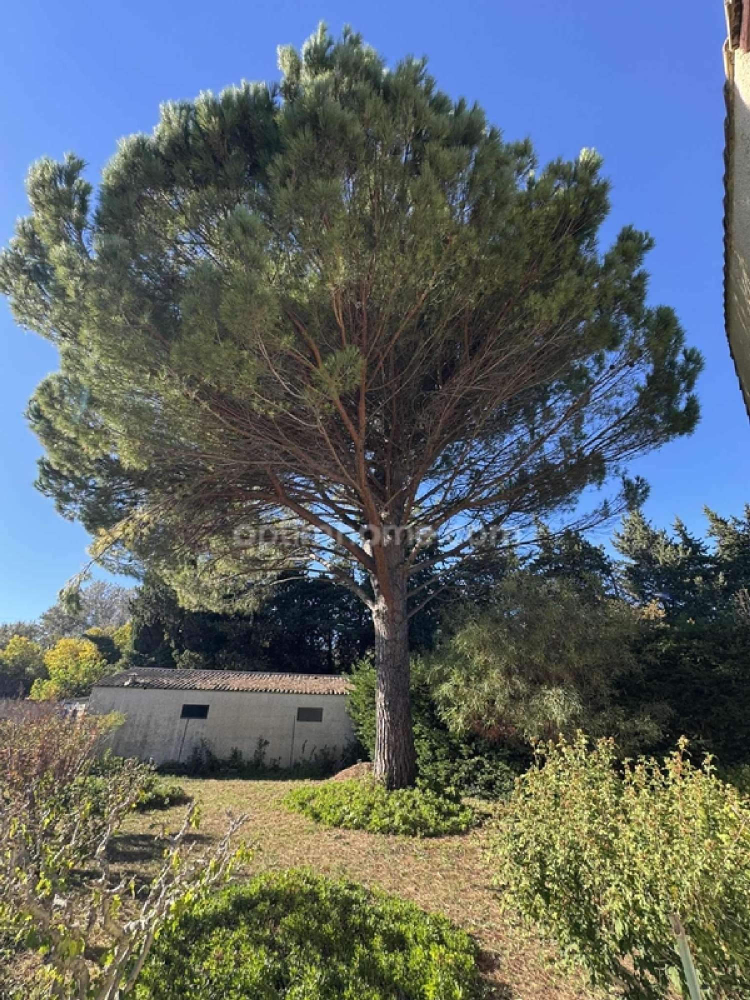 for sale house Tarascon Bouches-du-Rhône 3