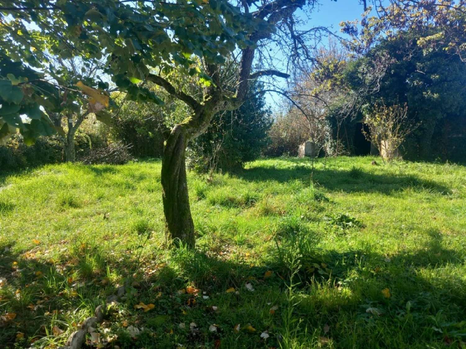 te koop huis Thiers Puy-de-Dôme 2