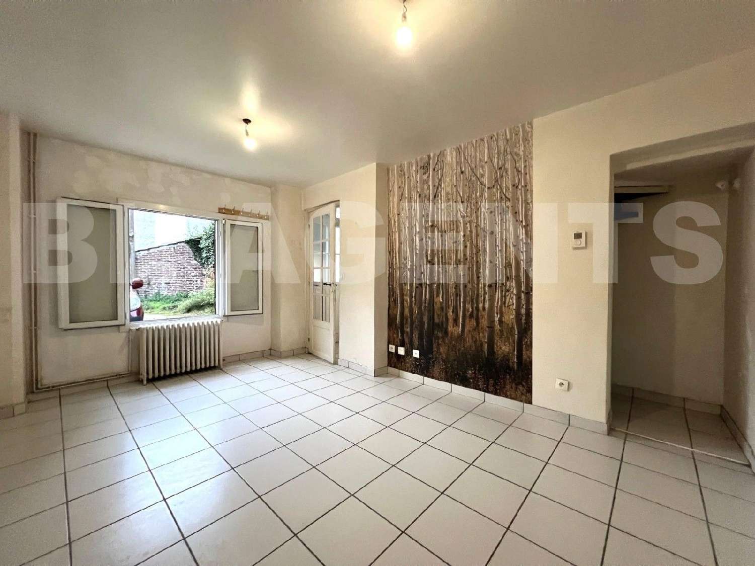 à vendre maison Thorigny-sur-Marne Seine-et-Marne 1