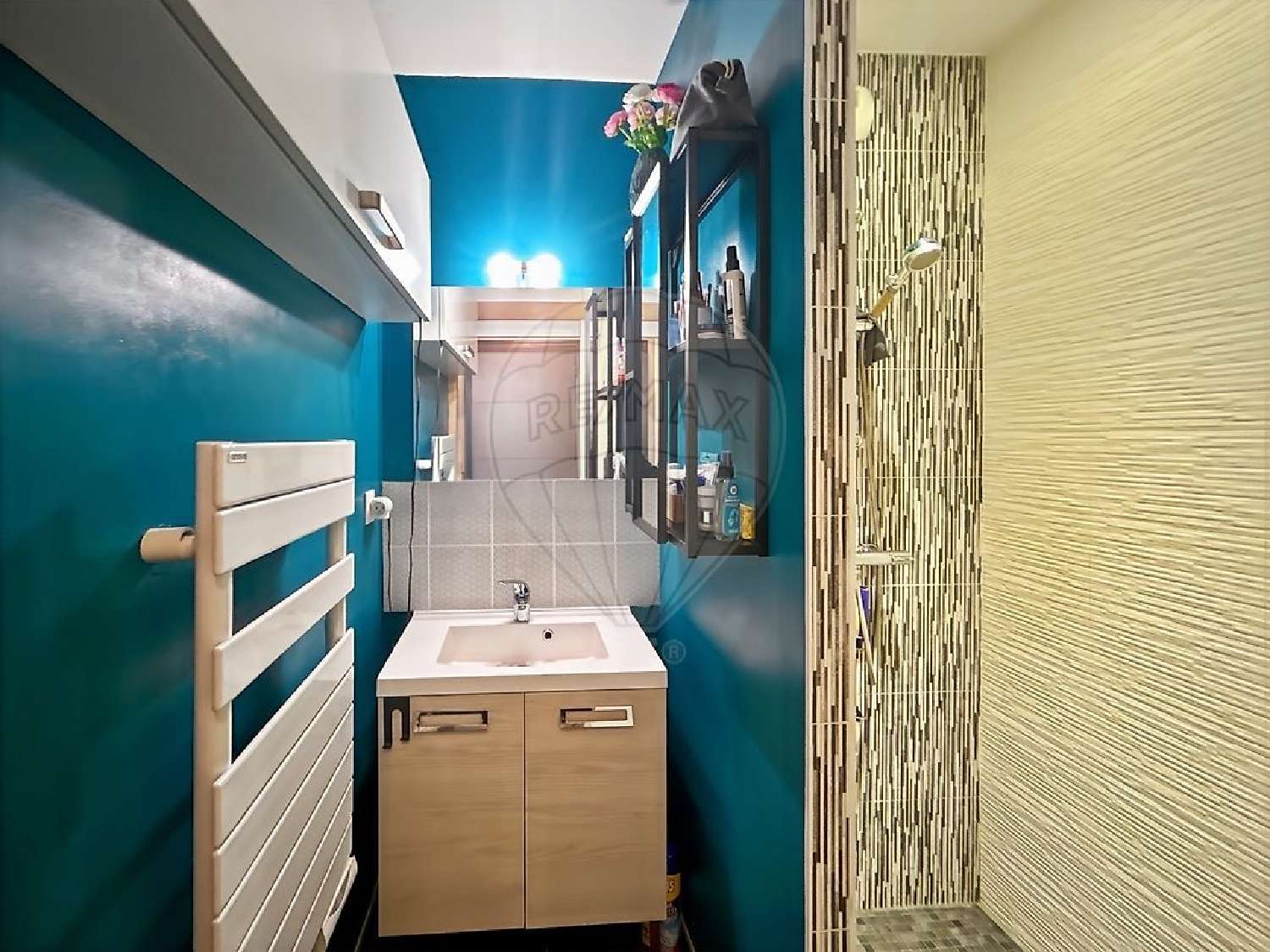 à vendre maison Thouaré-sur-Loire Loire-Atlantique 6