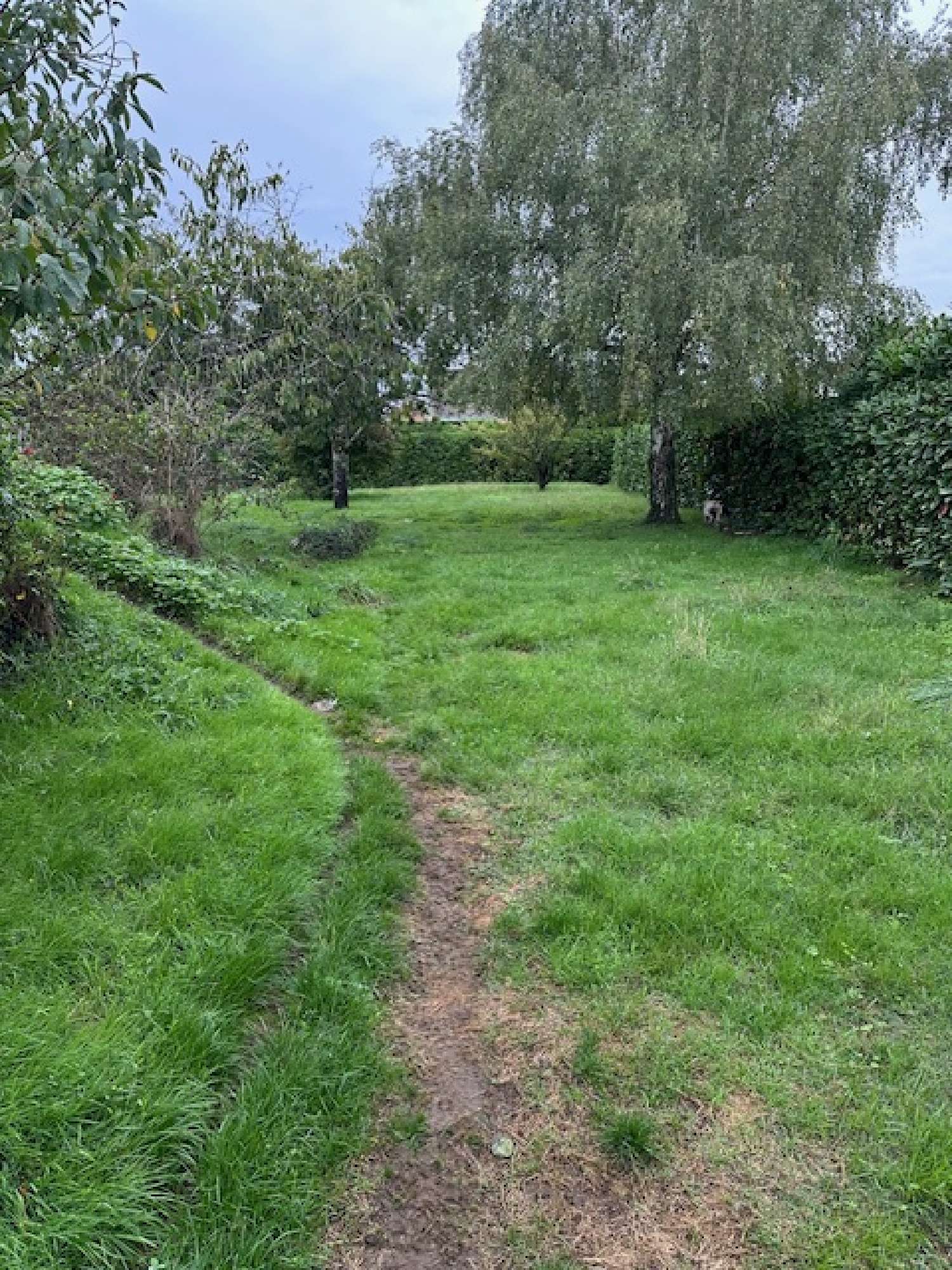  te koop huis Thuré Vienne 4