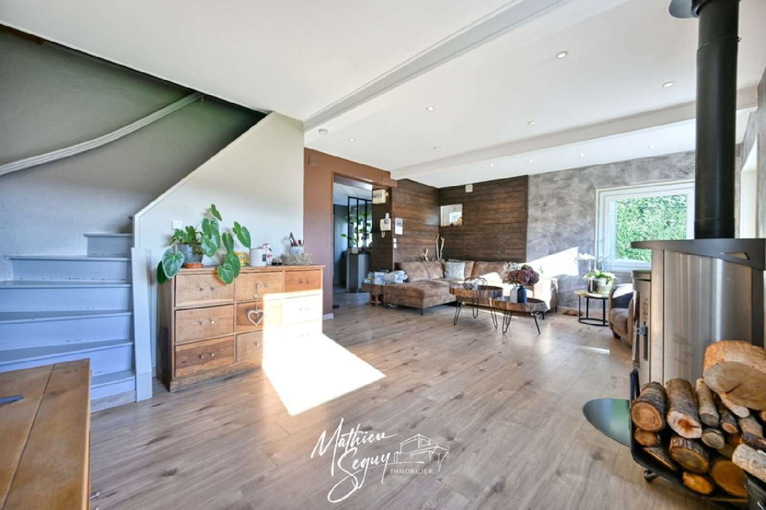 à vendre maison Thurins Rhône 3