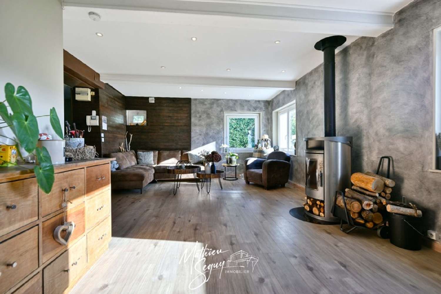 à vendre maison Thurins Rhône 4