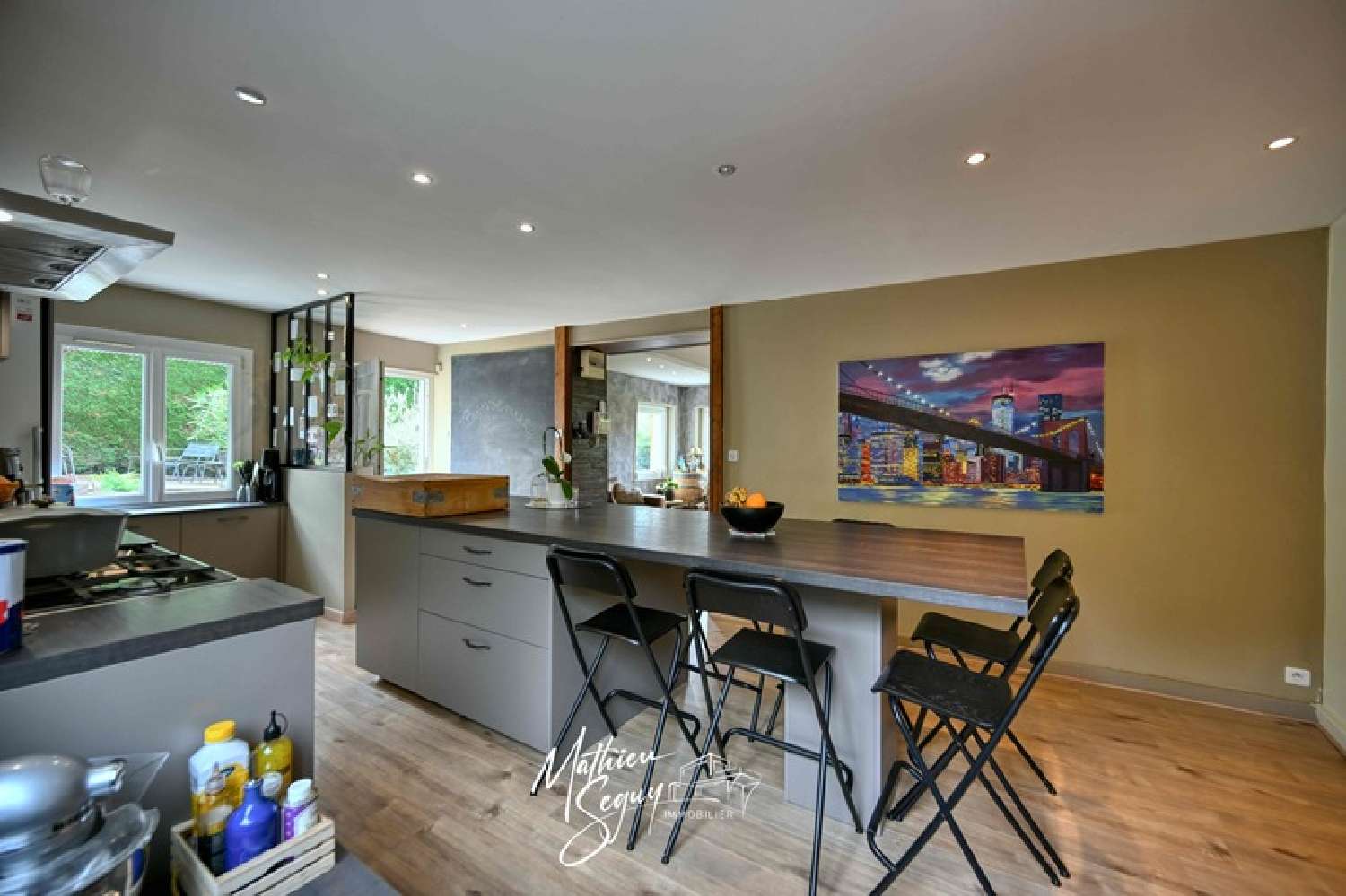 à vendre maison Thurins Rhône 7