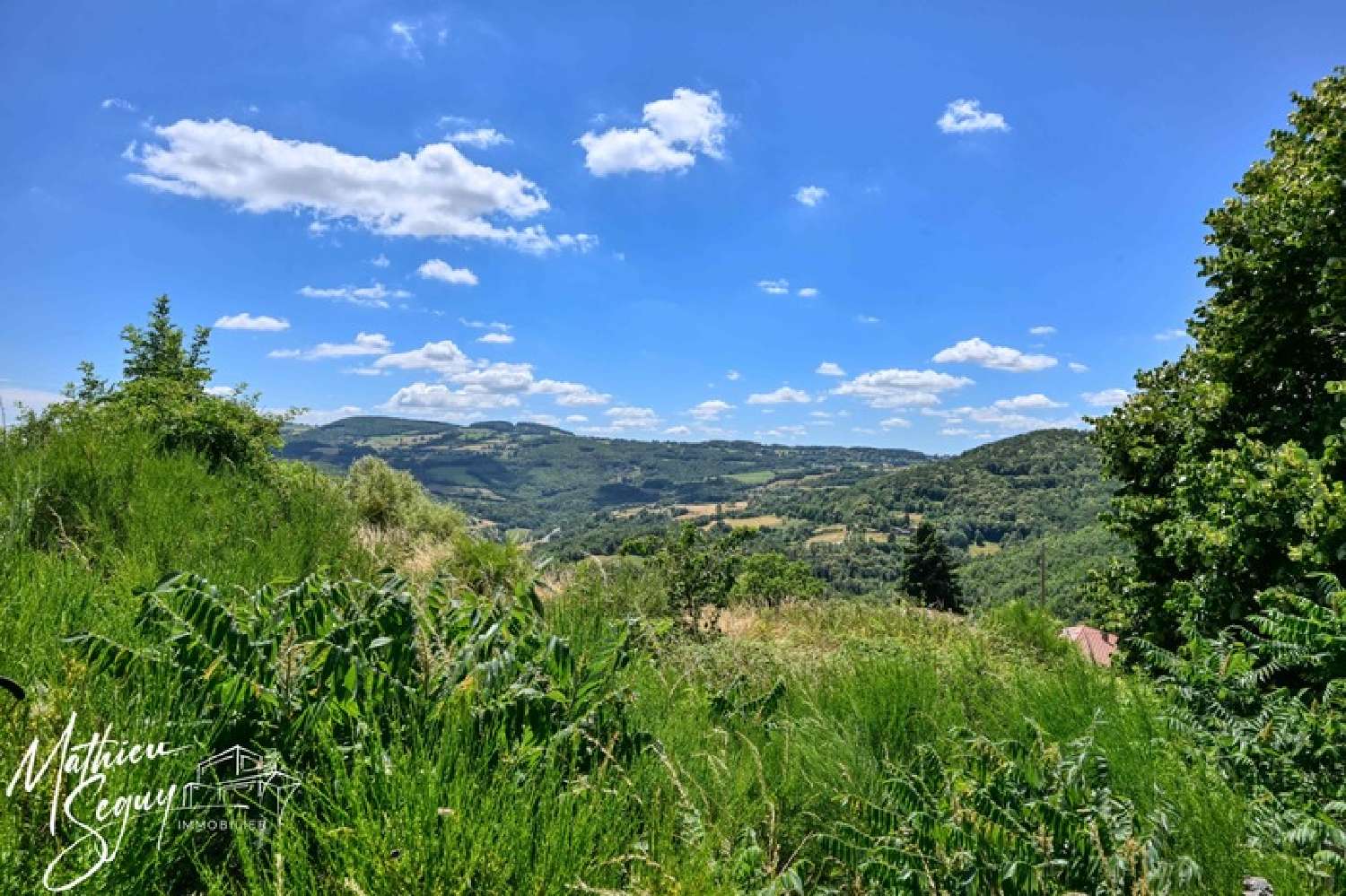  à vendre maison Thurins Rhône 4