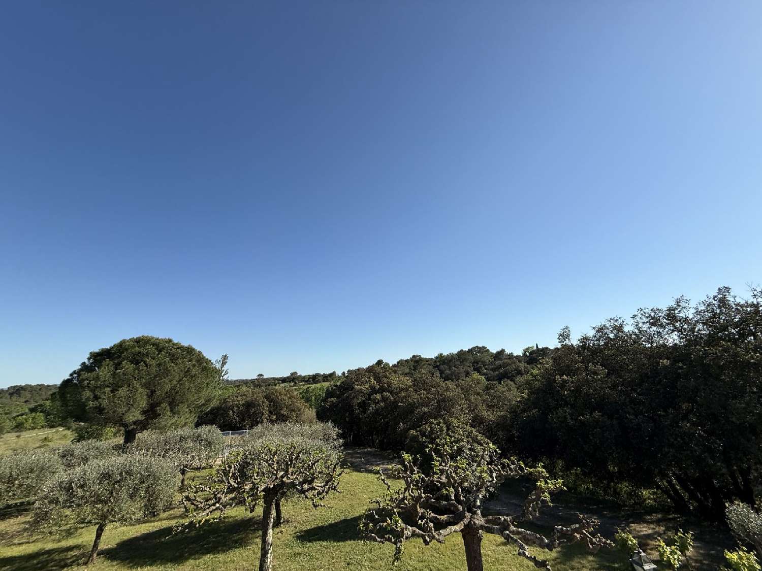  à vendre maison Tornac Gard 1