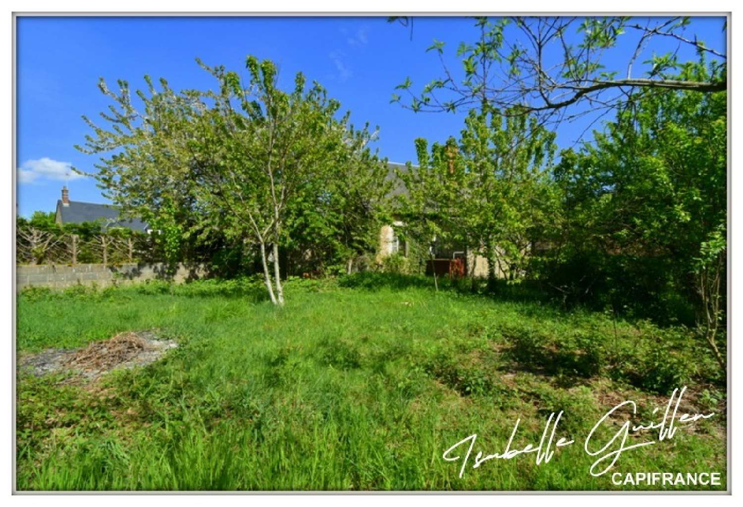 te koop huis Touchay Cher 3