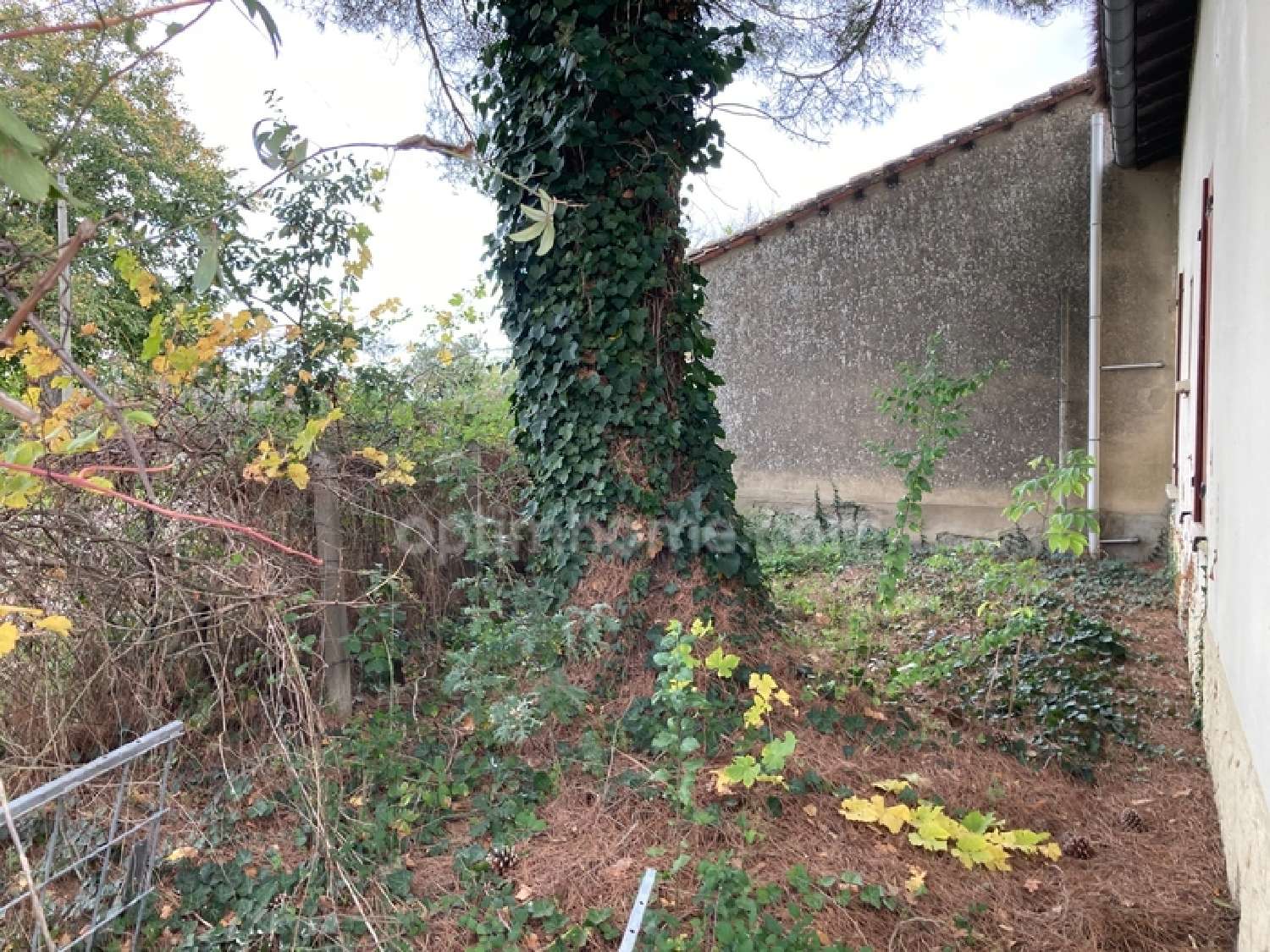  te koop huis Toulouse 31200 Haute-Garonne 5