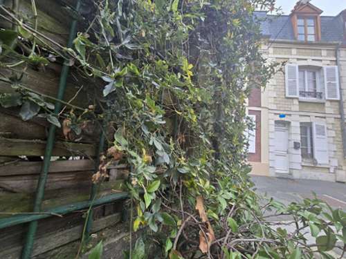 Trouville-sur-Mer Calvados Haus Bild 7196996