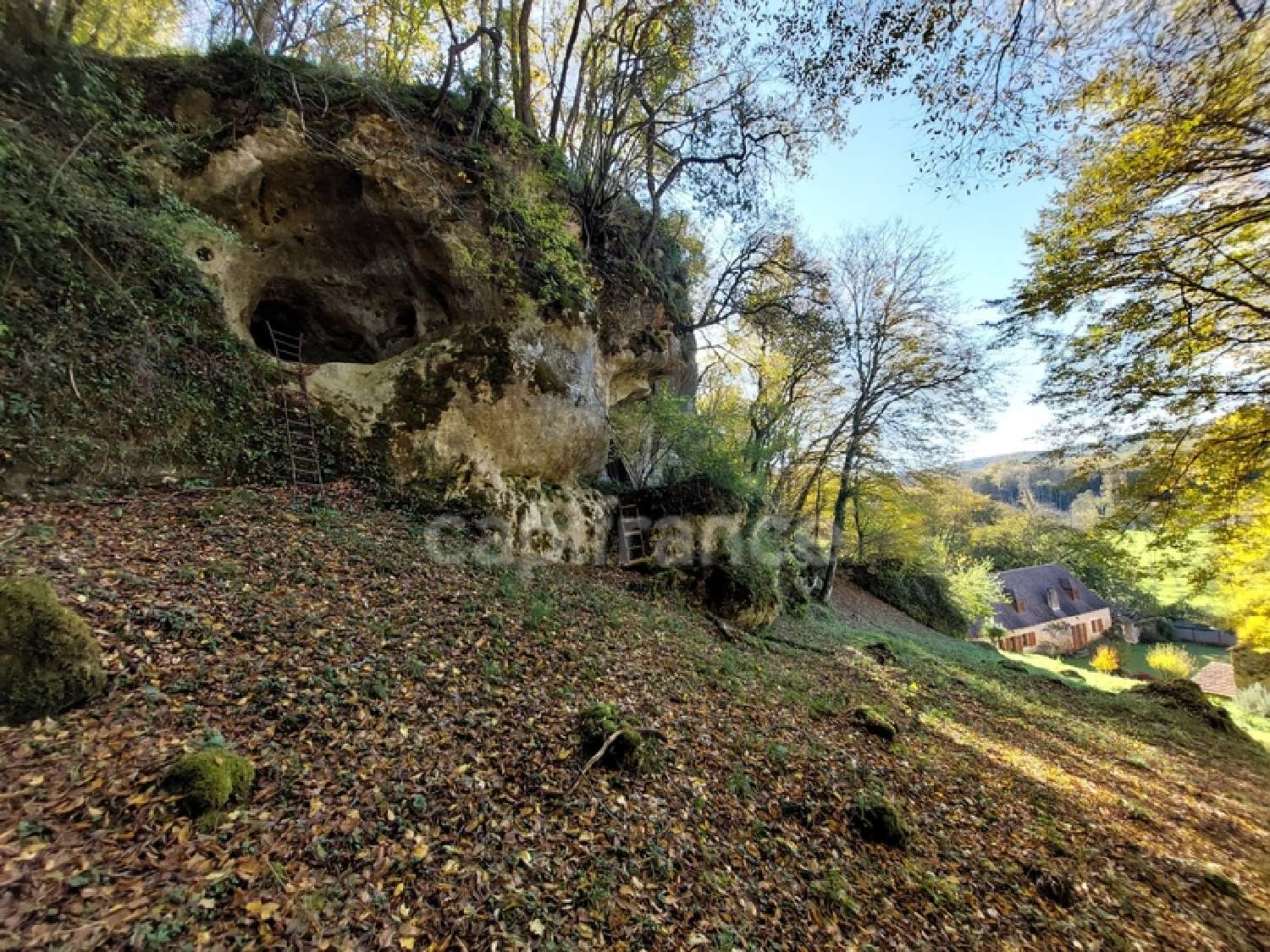  à vendre maison Tursac Dordogne 7