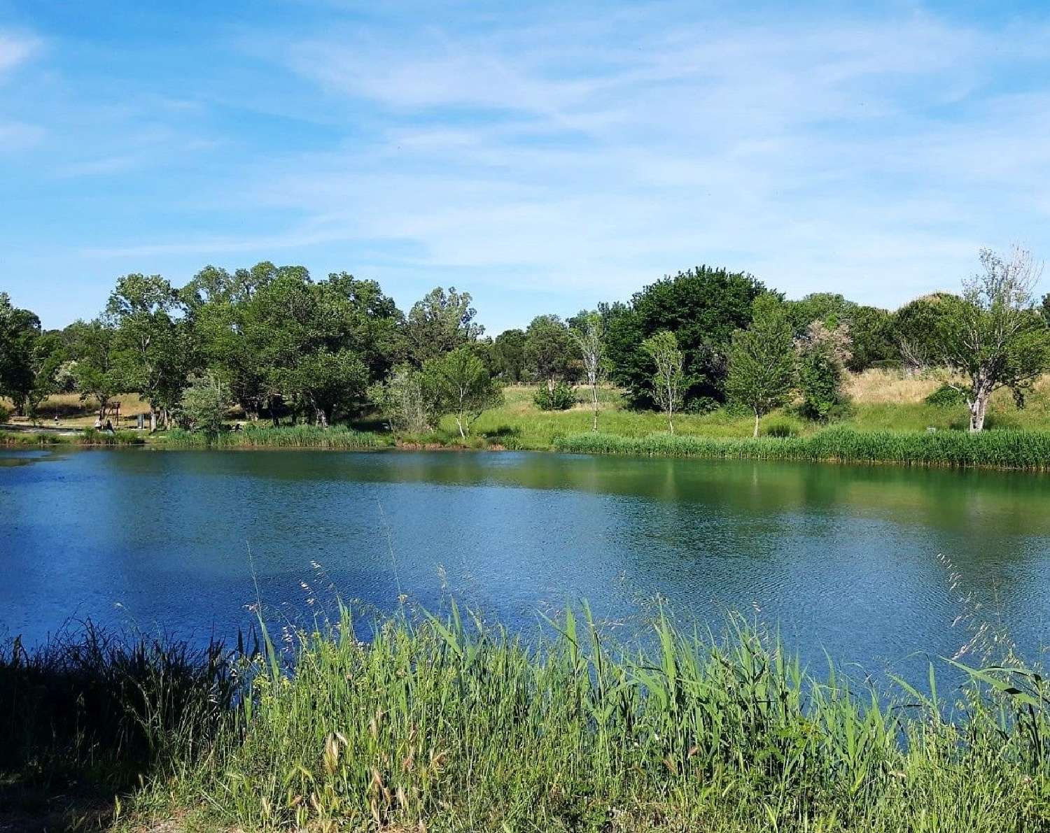  kaufen Haus Vallabrègues Gard 1