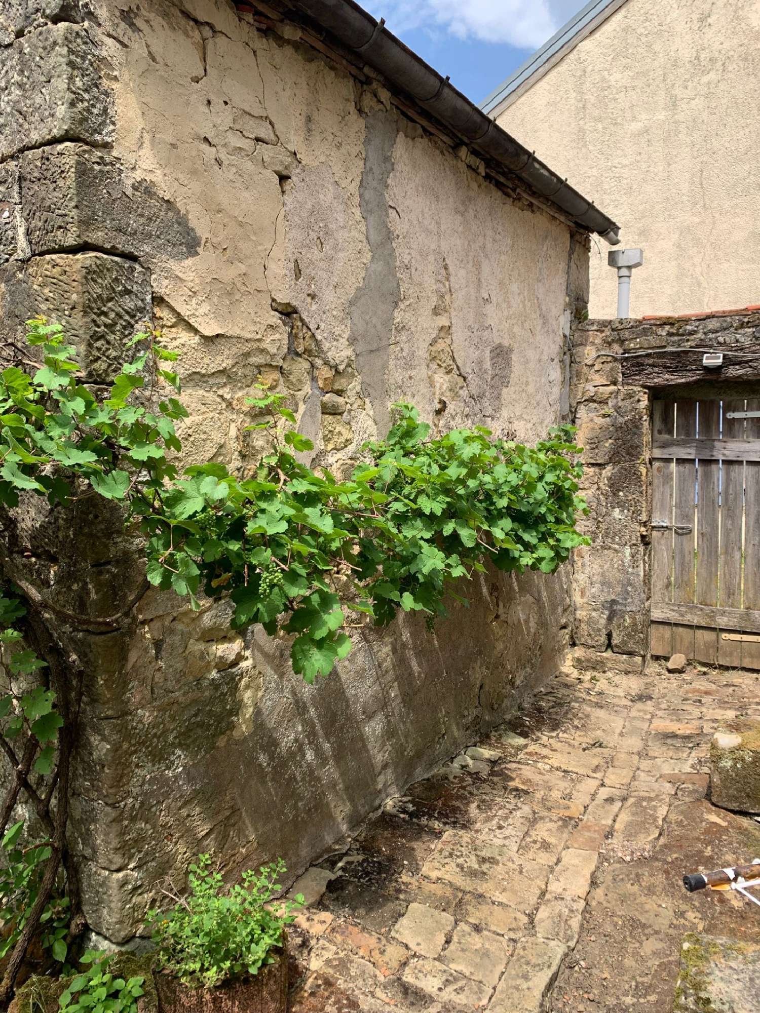 te koop huis Varennes-sur-Amance Haute-Marne 2