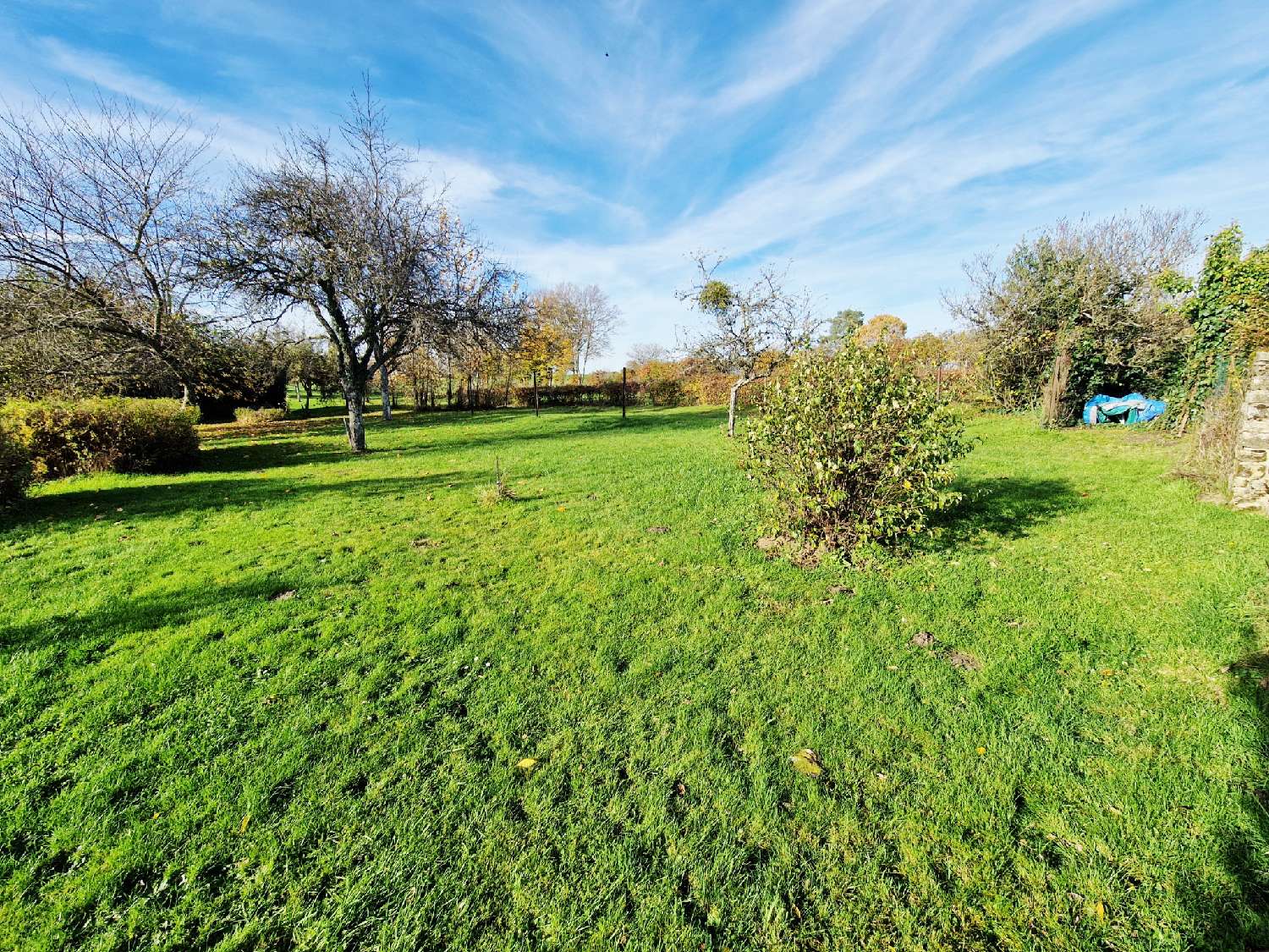  à vendre maison Varennes-sur-Amance Haute-Marne 7