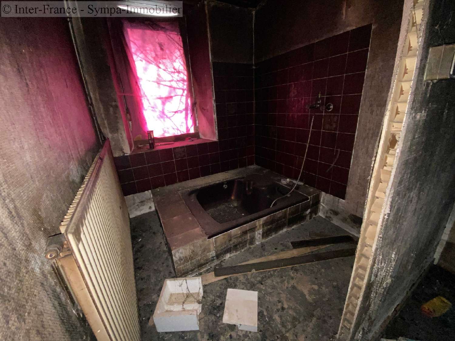 for sale house Varennes-sur-Amance Haute-Marne 4