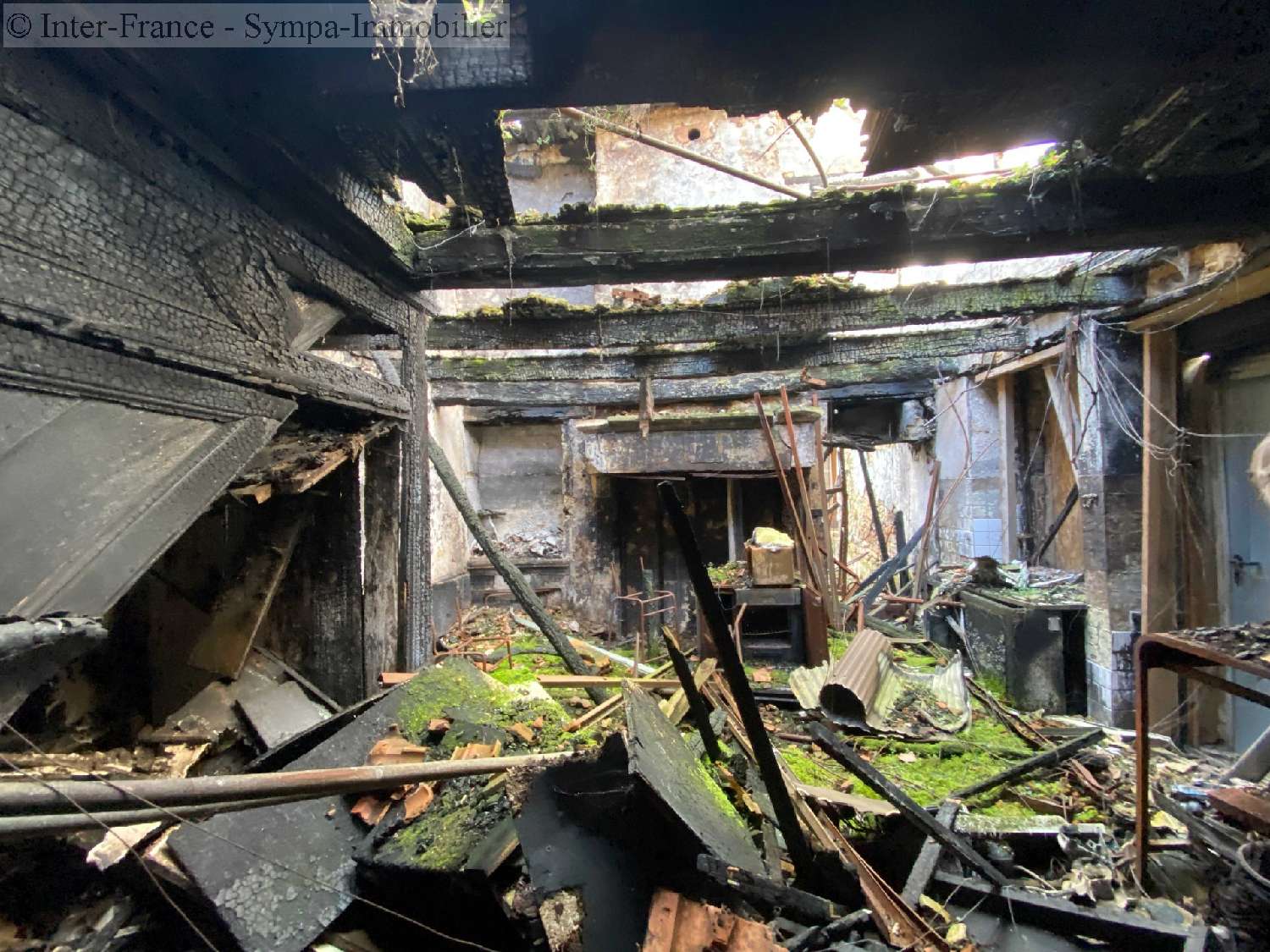 for sale house Varennes-sur-Amance Haute-Marne 5